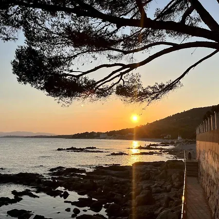 Leamalia Jardin Clos Piscine Et Plages Saint-Raphael (Var)